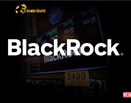 blackrock ceo