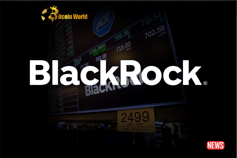 blackrock ceo