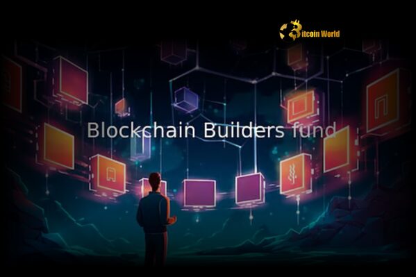 Blockchain Builders Fund Propels Early-Stage Web3 Startups with $28M Fund I Close
