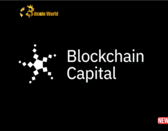 blockchain cap