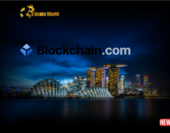 blockchain singa