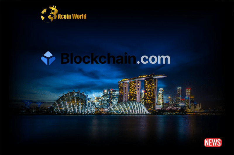 blockchain singa