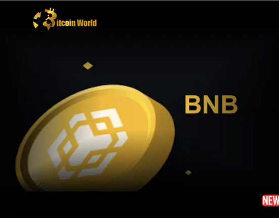 bnb 1