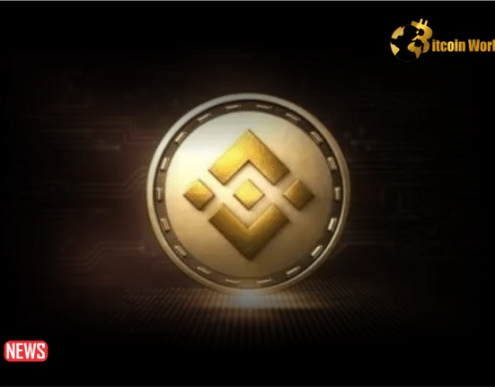 The Price Of BNB Rose More Than 3% In 24 Hours