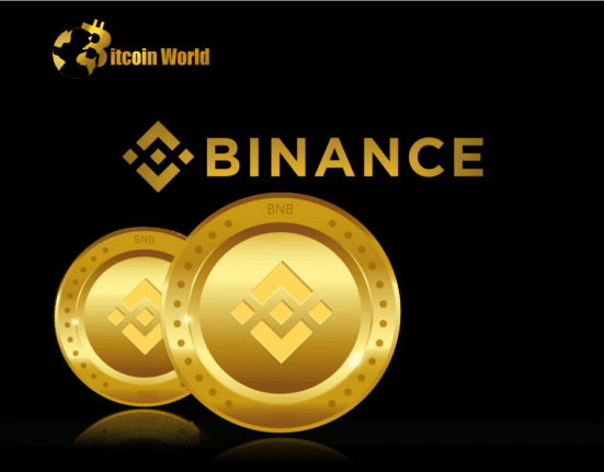 How will Binance’s Struggles to Find Banking Partner in the U.S. Impact BNB