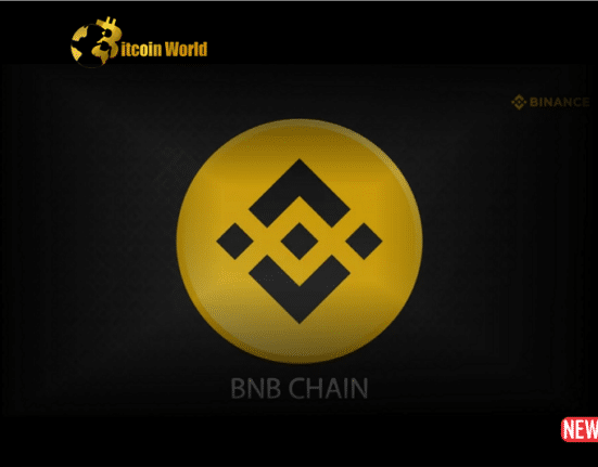 bnb chain 1 1