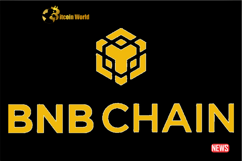 bnb chain 1