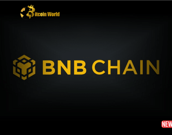 bnb chain 3
