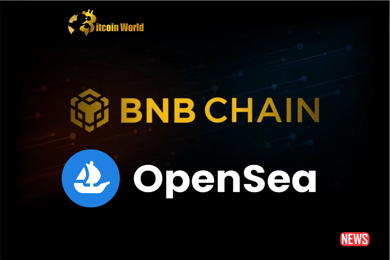 bnb chain opensea