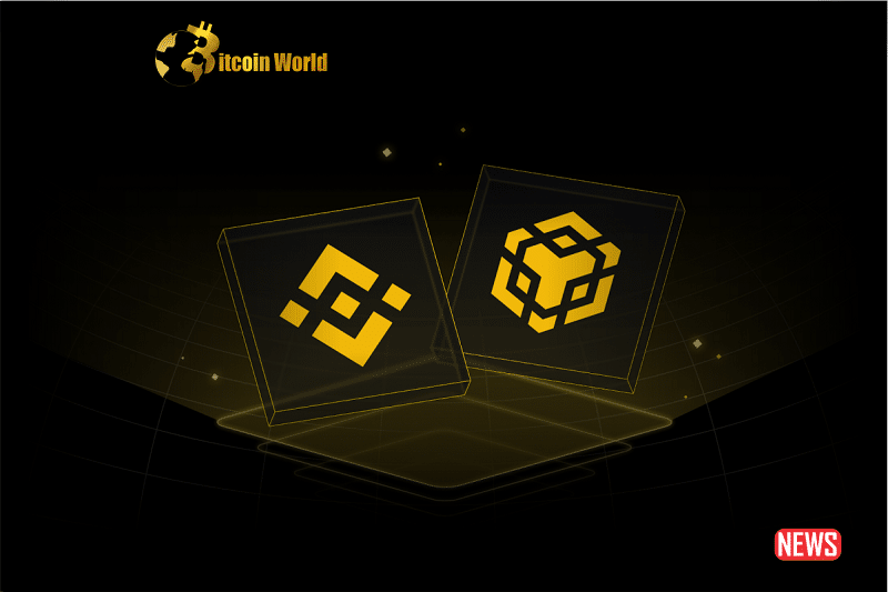 bnb chain