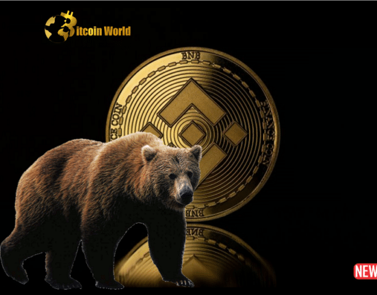 bnb coin