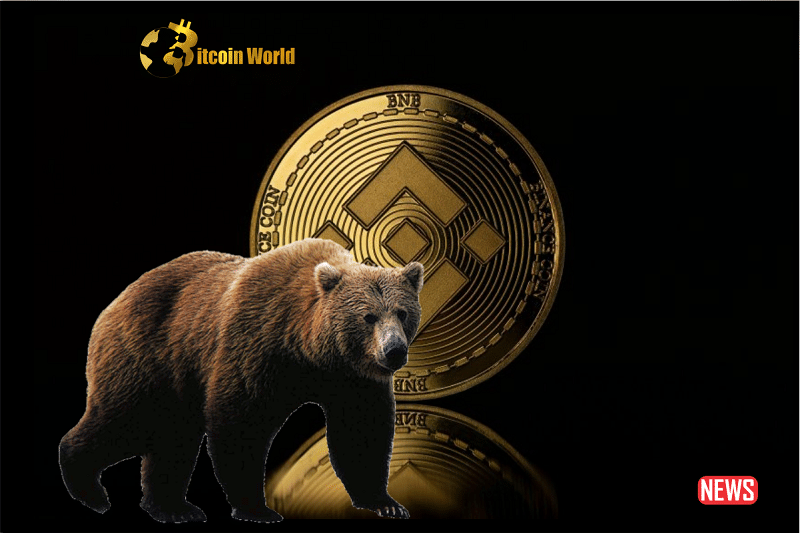 bnb coin