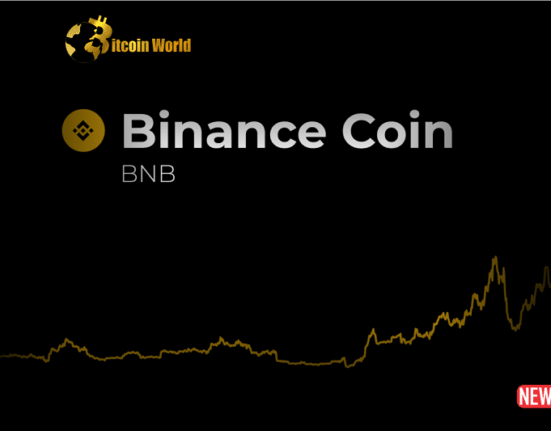 bnb price 1