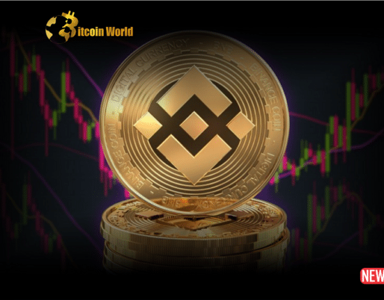 bnb price