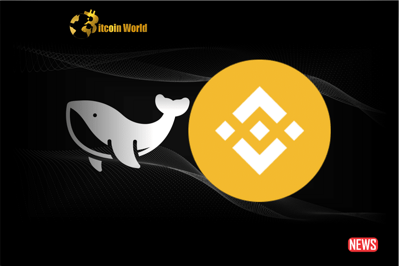 bnb whale