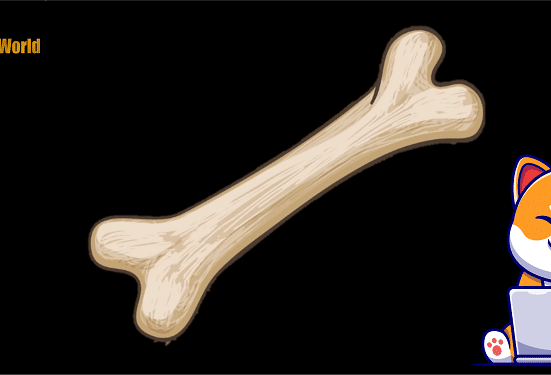 bone shiba