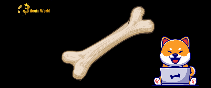 bone shiba