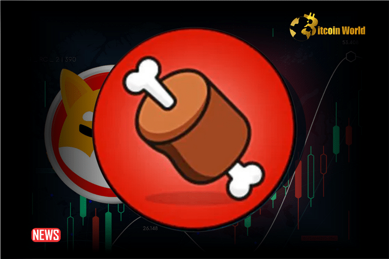 BONE Soared Over 12% In 1 Week As Shibarium Transactions Surge