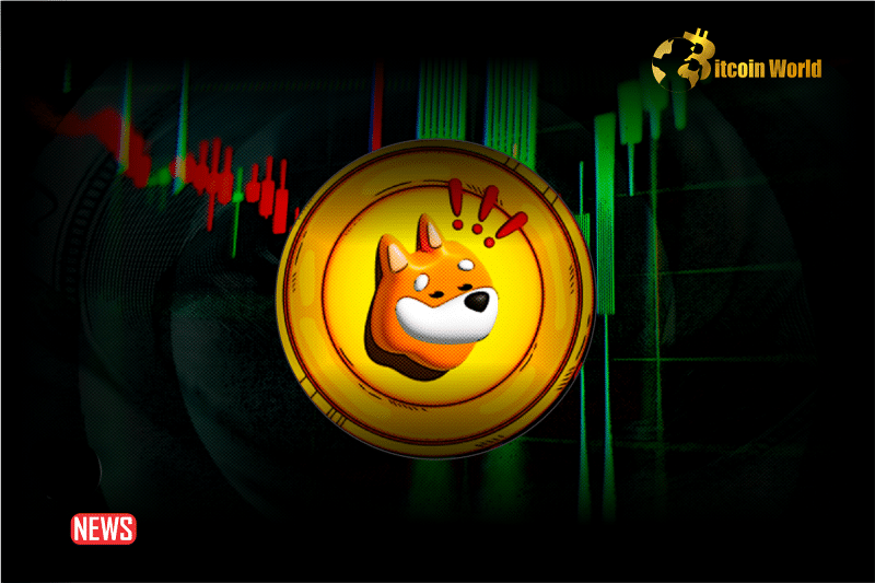BONK Jumps Over 8% As Coinbase Moves To List The Memecoin