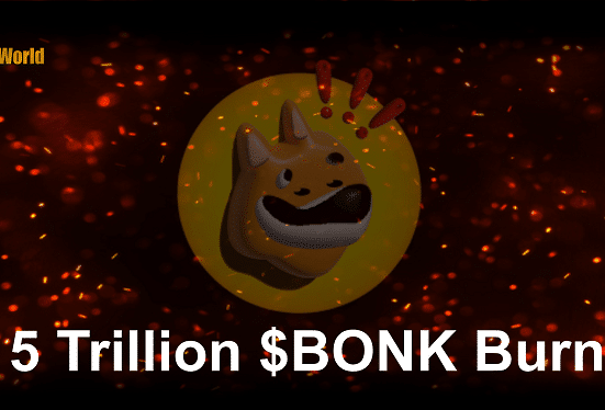 bonk burn