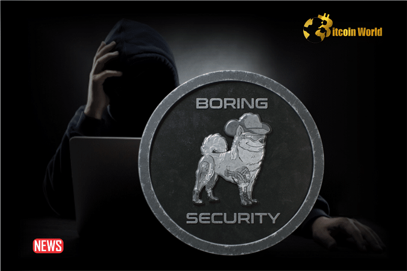 Boring Security Recovered 38 Apes Stolen In NFT Trader Exploit