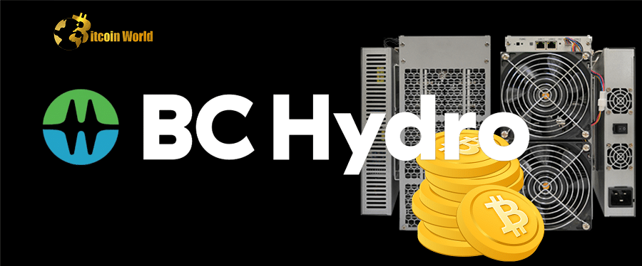 British Columbia to Halt New Power Connections for Crypto Miners