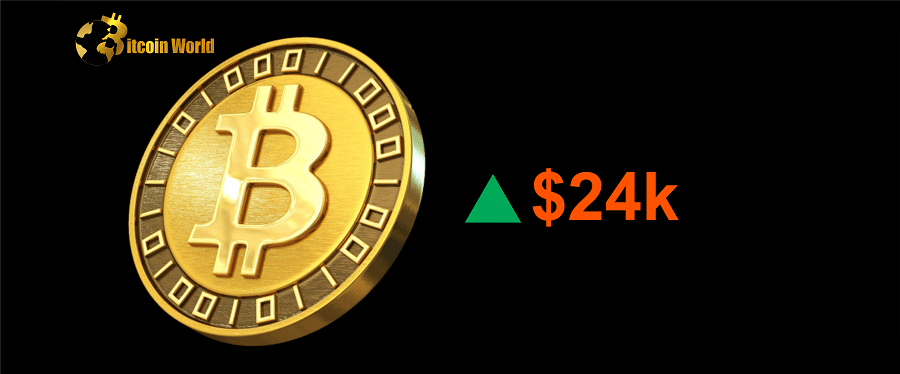 btc 24k