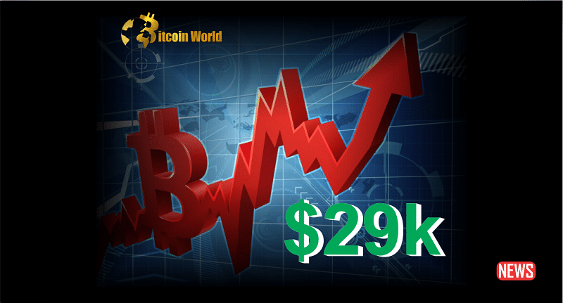 btc 29