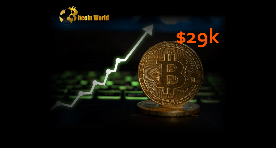 btc 29k 1