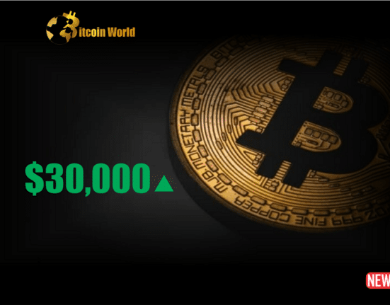 btc 30000