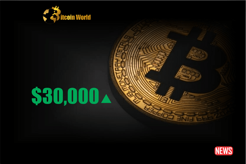 btc 30000