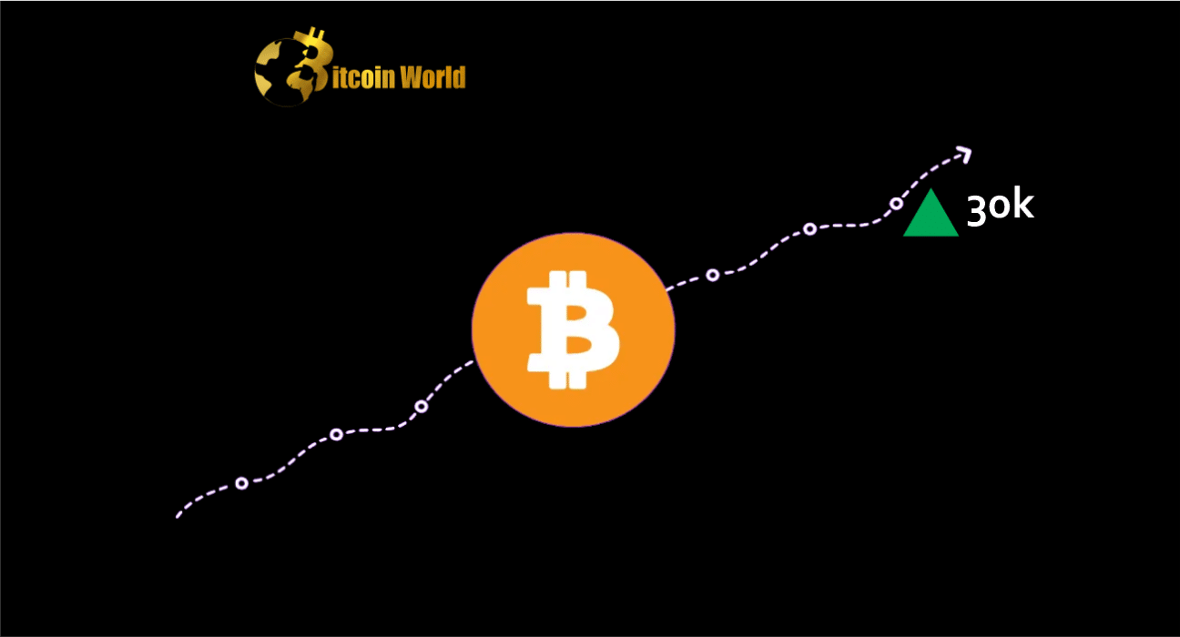 Bitcoin Price Defies Gravity And Here’s Why BTC Could Surge To $30K