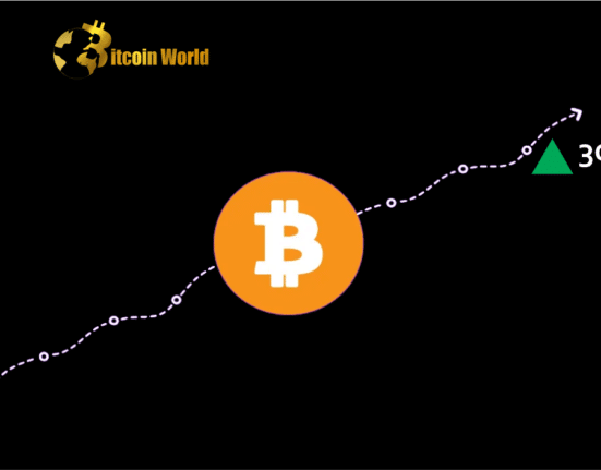 Bitcoin Price Defies Gravity And Here’s Why BTC Could Surge To $30K