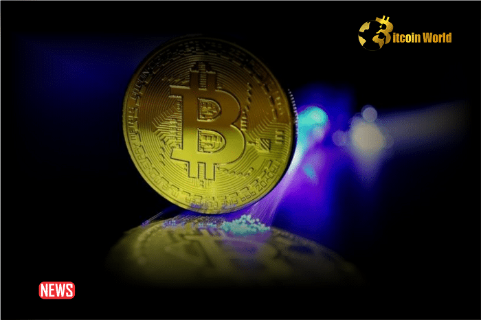 Bitcoin Reached New All-time High, Surpasses Its Previous All Time High Of $69,000