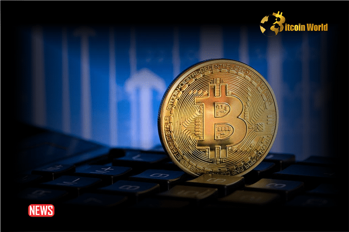 Bitcoin Hits $70K And Retreat, FLOKI Skyrockets 111% Weekly