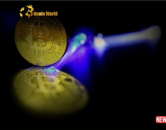 btc activity