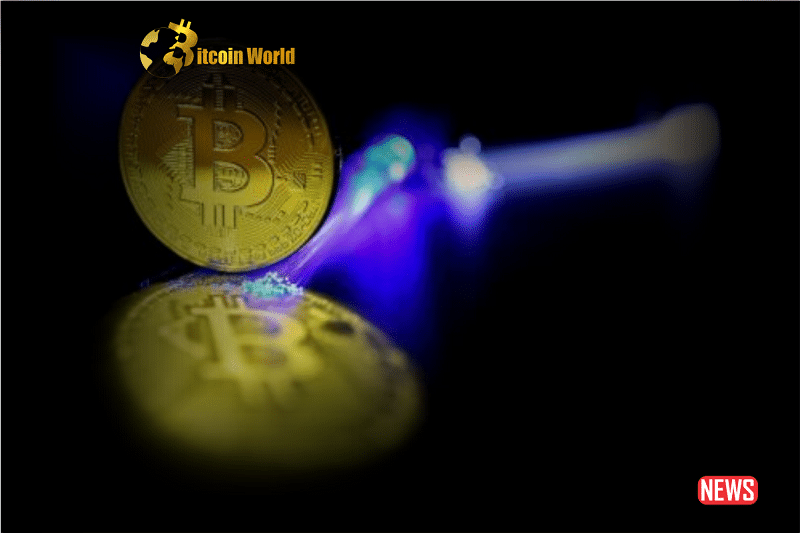 btc activity