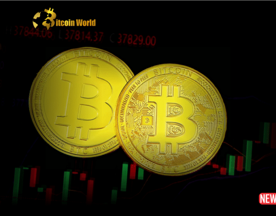 btc address