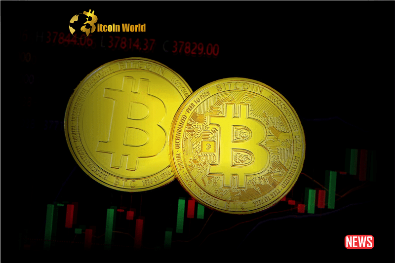 btc address