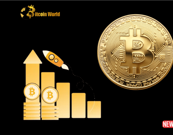 btc adoption