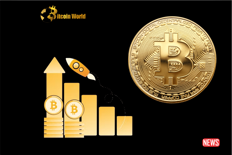 btc adoption