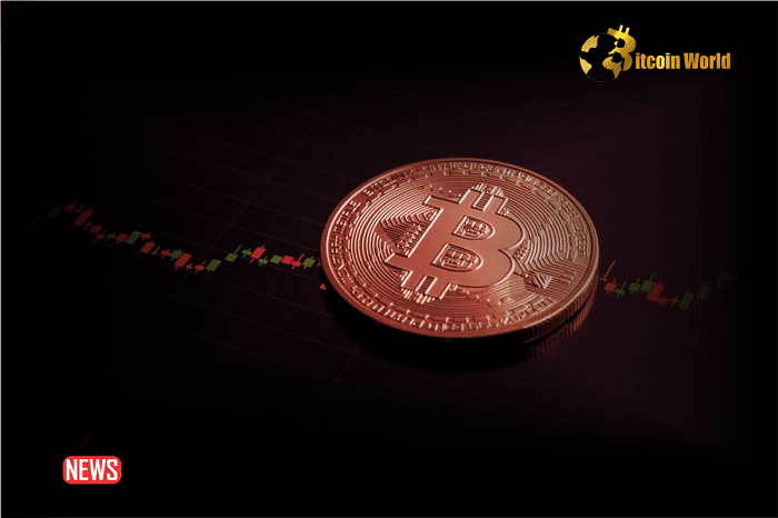 Bitcoin Approaches Its $69k All-Time High Price, Is It Time To Start Buying BTC-related Projects?