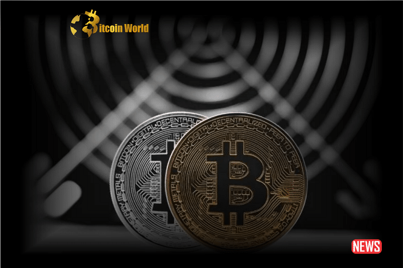 btc battle