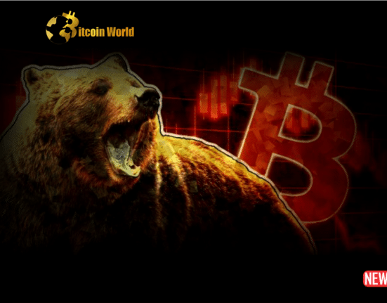 btc bear 1 1