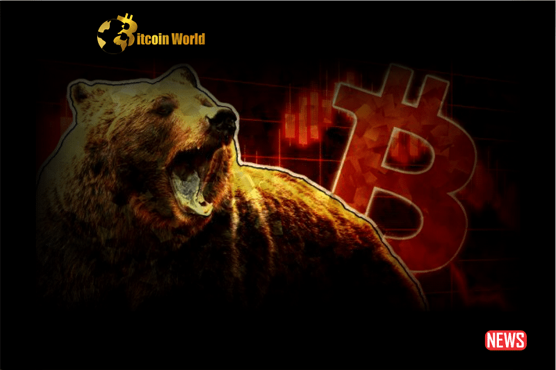 btc bear 1 1