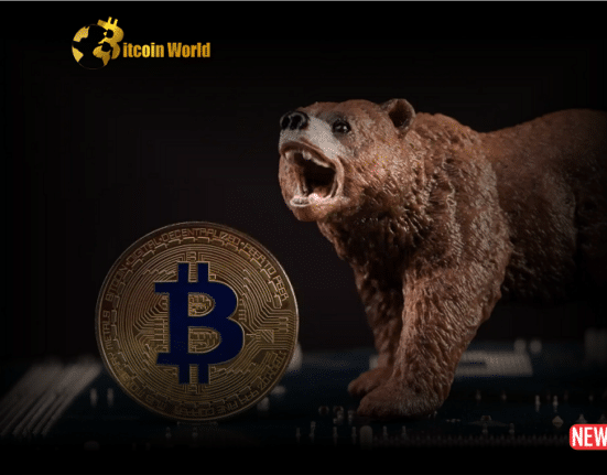 btc bear 1 2