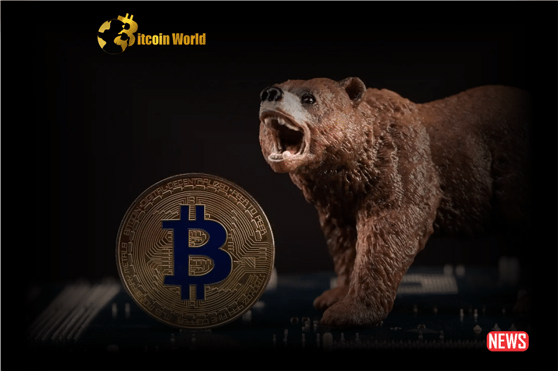 btc bear 1 2
