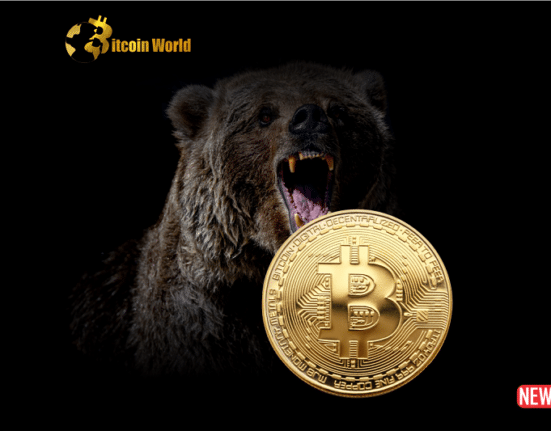 btc bear 1 3