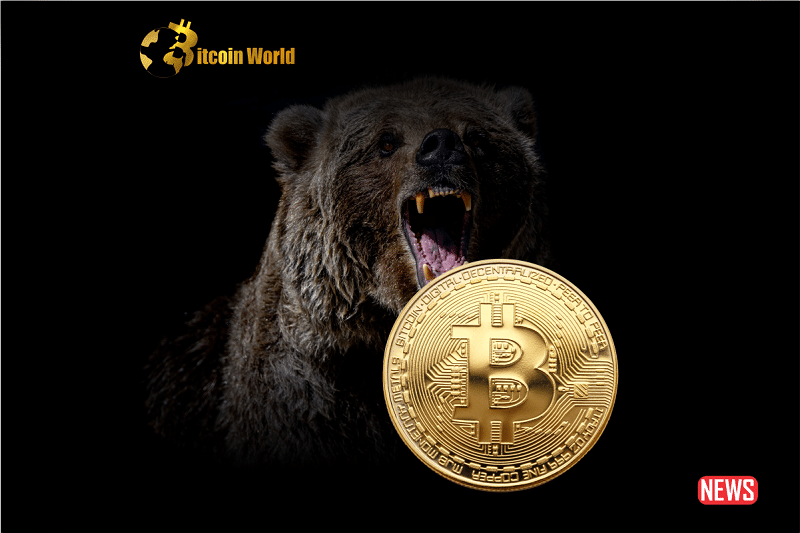 btc bear 1 3