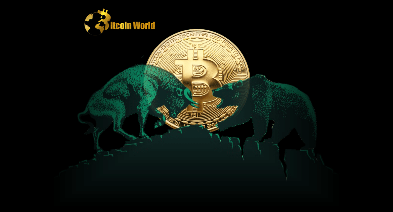 btc bear